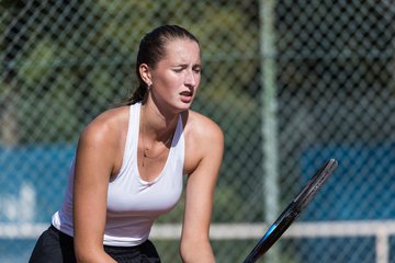 Bild 501 - dreyermedia open